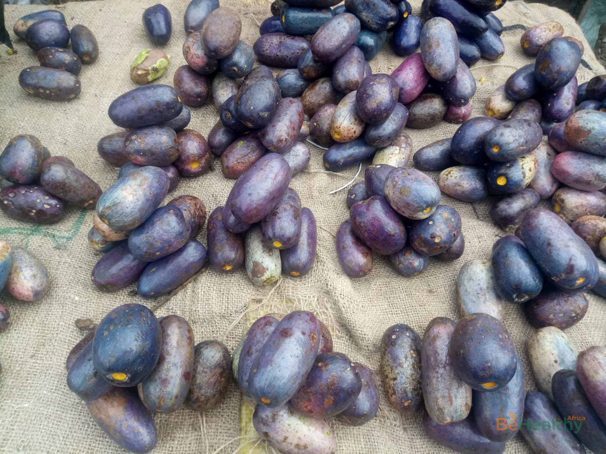 Would you Add Ube (Bush pear) to your diet?